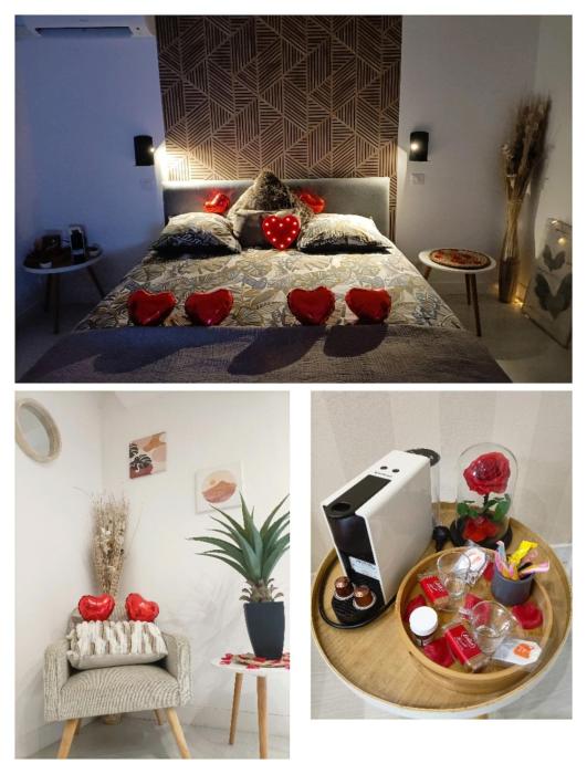 Apartsuite jardin Nice cap 3000 bord de mer
