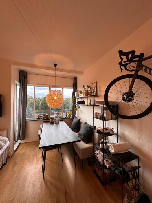 1 bedroom apartment, Trøjborg