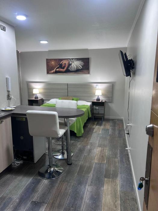 Departamentos Santiagos centro #10