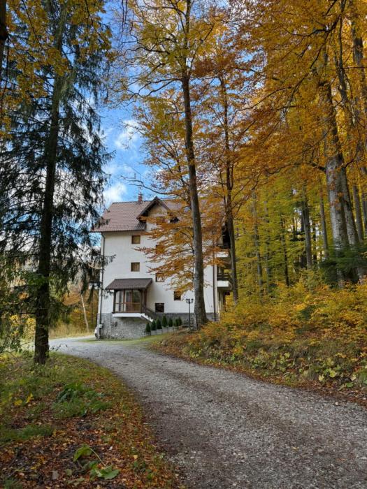 Vila Amurgului Bușteni