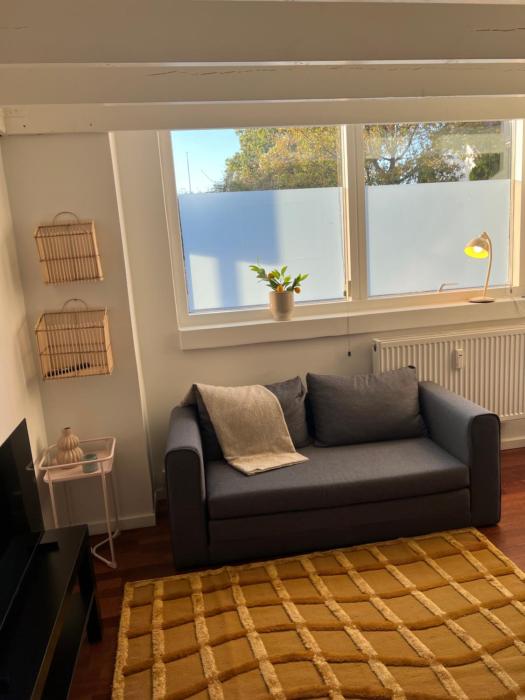 Convenient apartment - close to everything