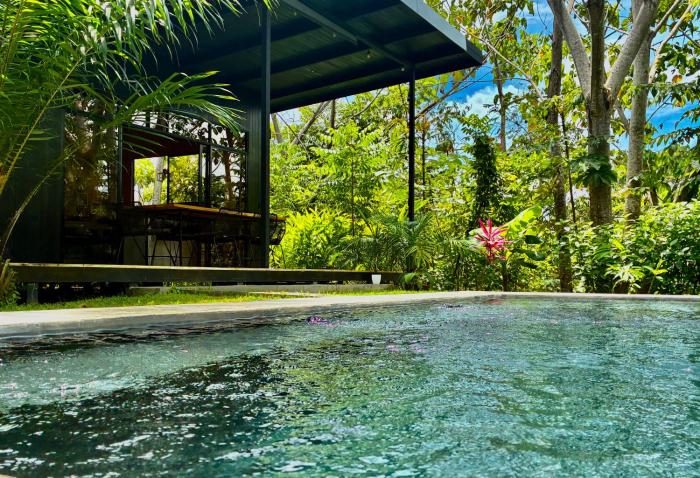 Cabaña Grande océan and jungle Infinity swim pool