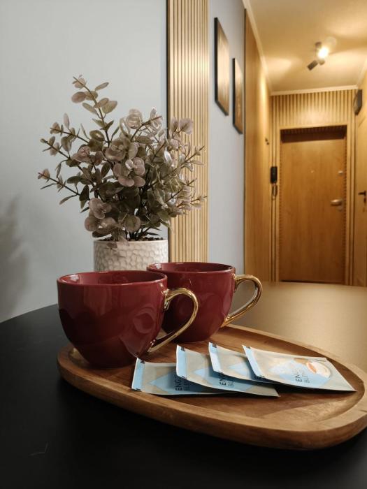 Bliska Ochota Apartment