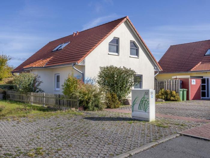 Stranddistel XL