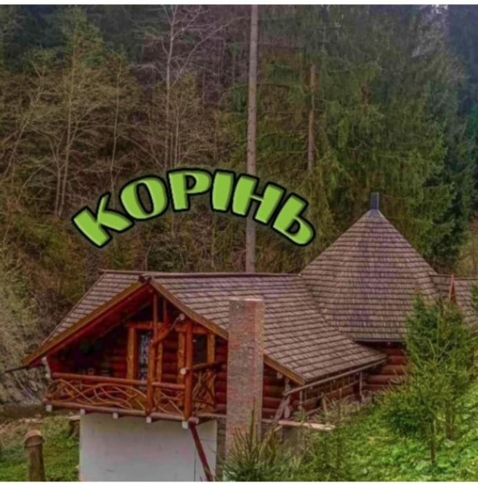 Корінь