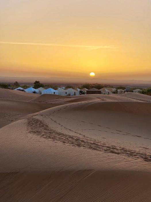 Desert Live Luxury Camp