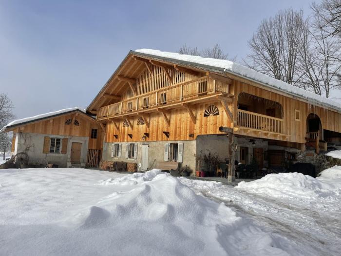 Chalet spacieux à Samoëns, 6 chambres, idéal pour 14 personnes avec Wifi - FR-1-846-1