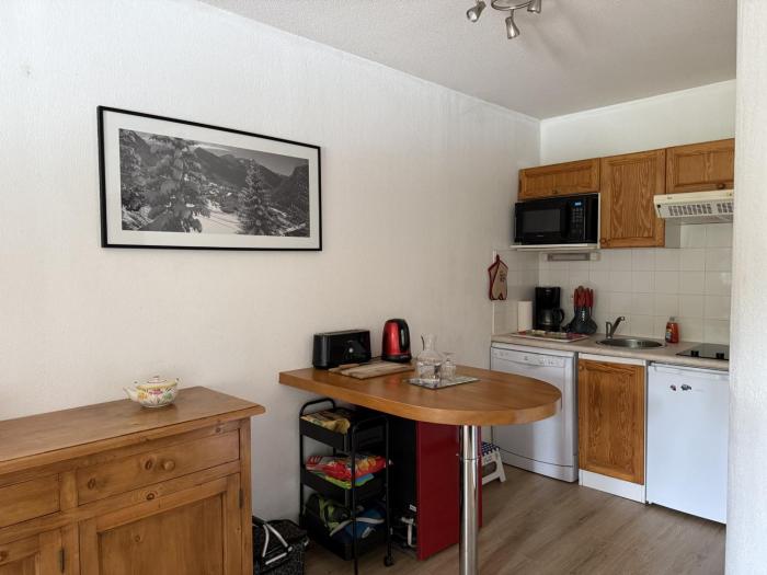 Appartement cosy 1 chambre - Samoëns - Wifi - FR-1-846-25