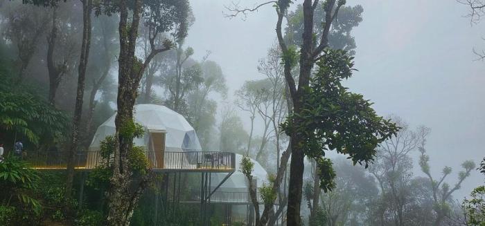 Willmount Geodesic Domes Vagamon