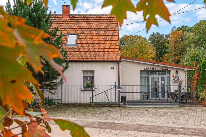Pensjonat Willa Leśna