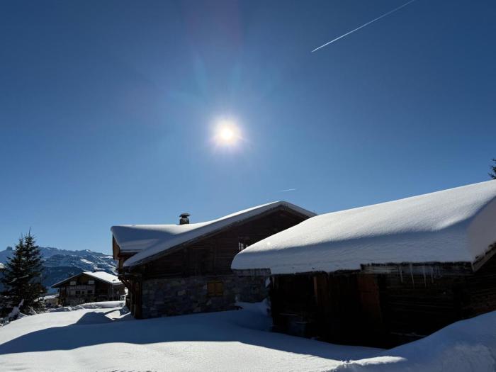 Chalet Exalta