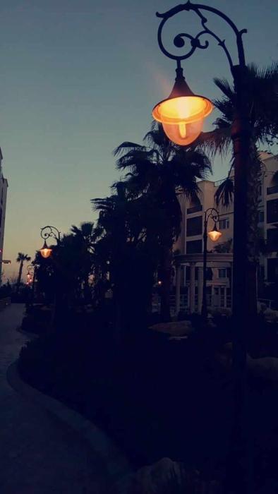 Al qaoud apartment