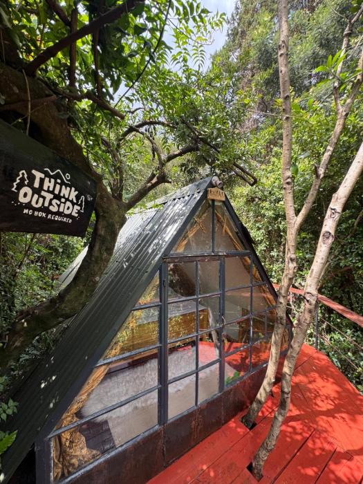 Forest small house-Lenana
