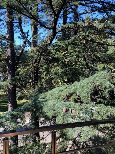 Three Pines