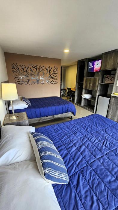 SUITE SEIS SEIS SUITE DOBLE Premium Suite TEC CEM con Cocineta WiFi Balcón Parking Terraza