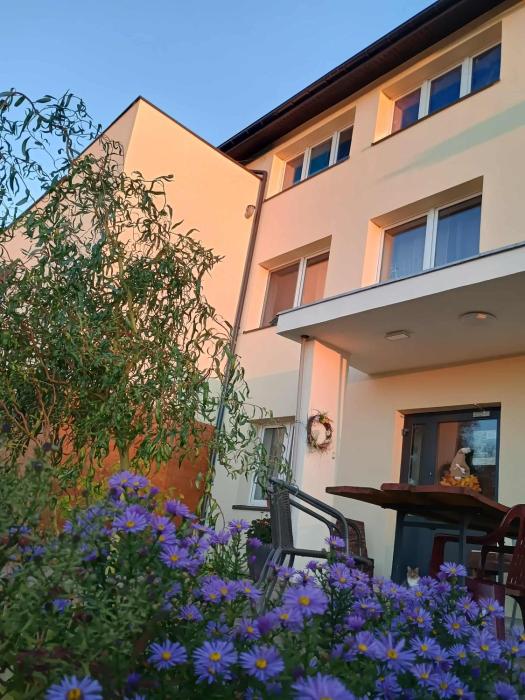 Noclegi nad Biebrzą Stara Szkoła