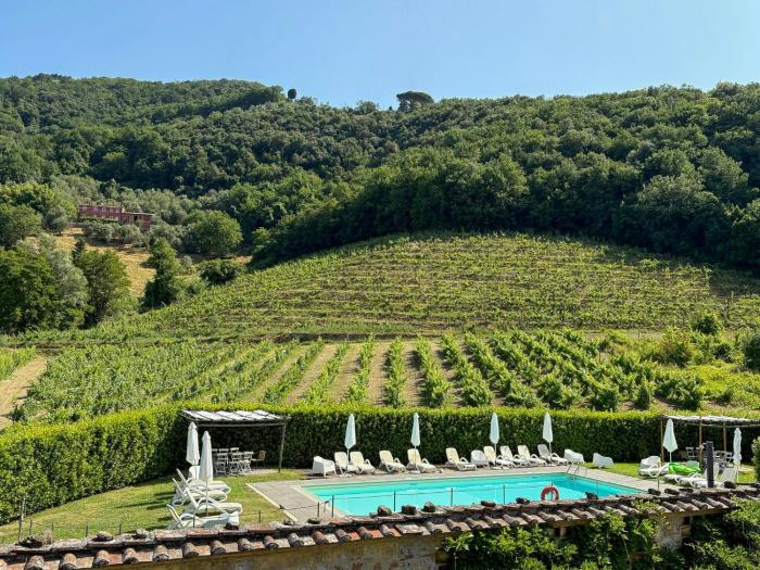 Rustic Loft Among Vineyards And Olive Groves In Tuscany