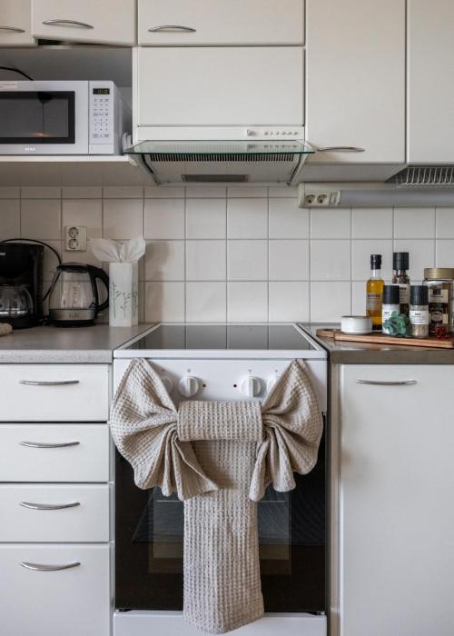 Rovaniemi City Center Apartment