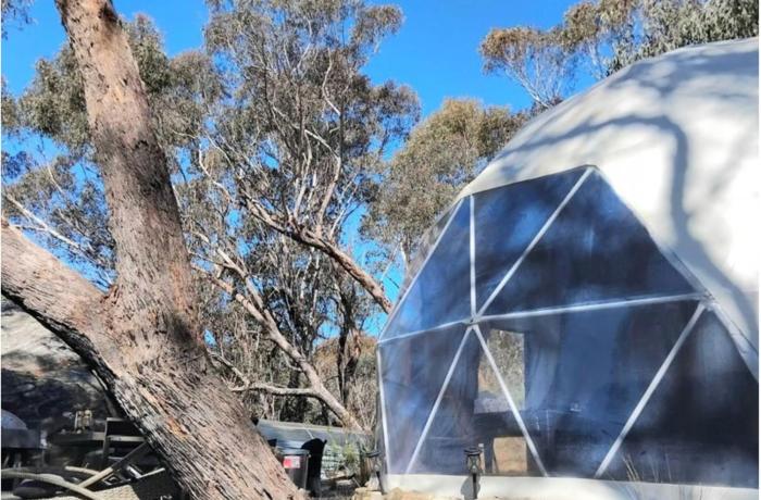 Escape to The Dome Studio a Blue Mountains Hidden Gem -