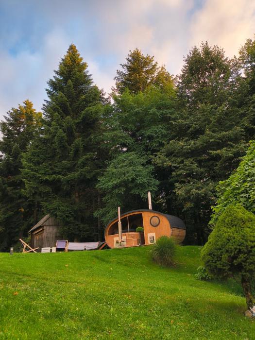 Agroturystyka Koronkowe Zacisze