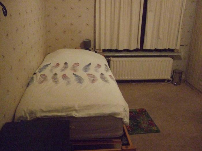 Bij het station van Drongen