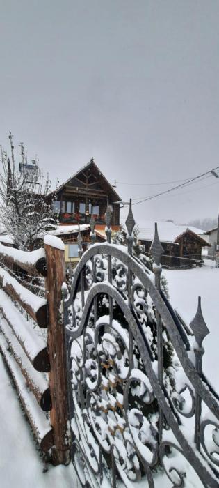 Cabana Ollie Retezat