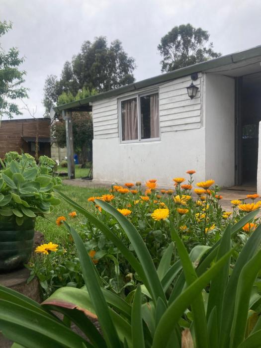 La Aldea de Amalia - Casa 2