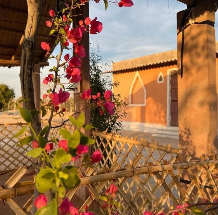 Subhadra ecolodge