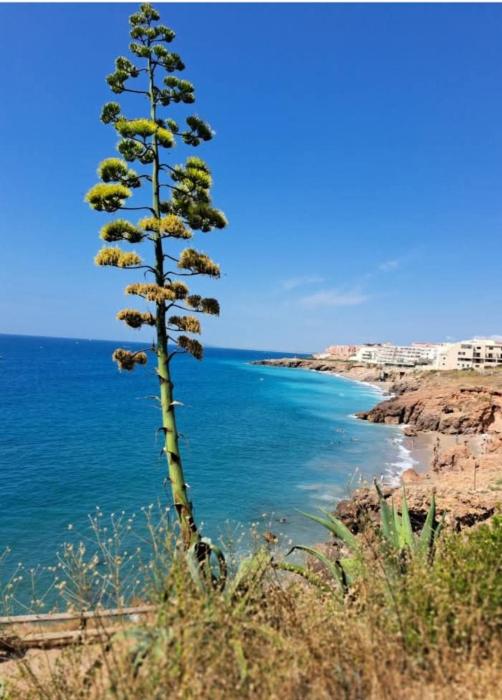 Vue mer exceptionnelle sur la corniche