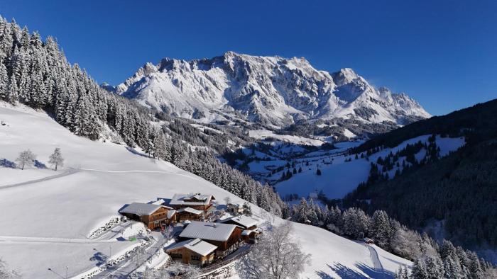 Highking Chalet Grünegg