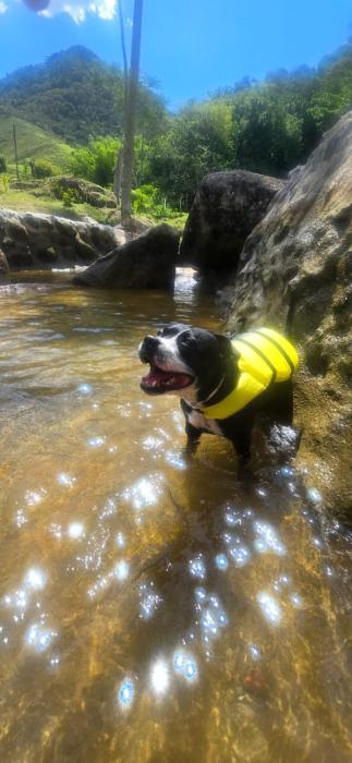 Loft com piscina natural em Cachoeiras de Macacu