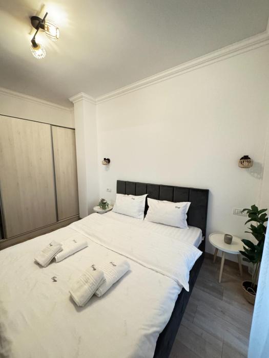 One bedroom Apartments at Adora Park Arad
