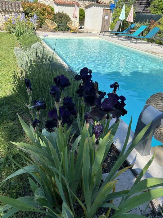 Les Gites des Chats - réservation de La maison des chats et de La grange