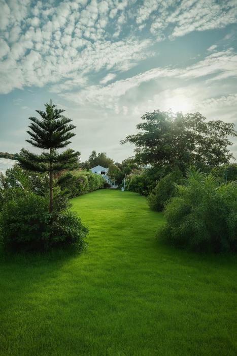 The Dragonfly Retreat