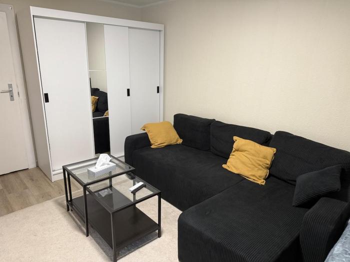 Frankfurt 1 room apartment