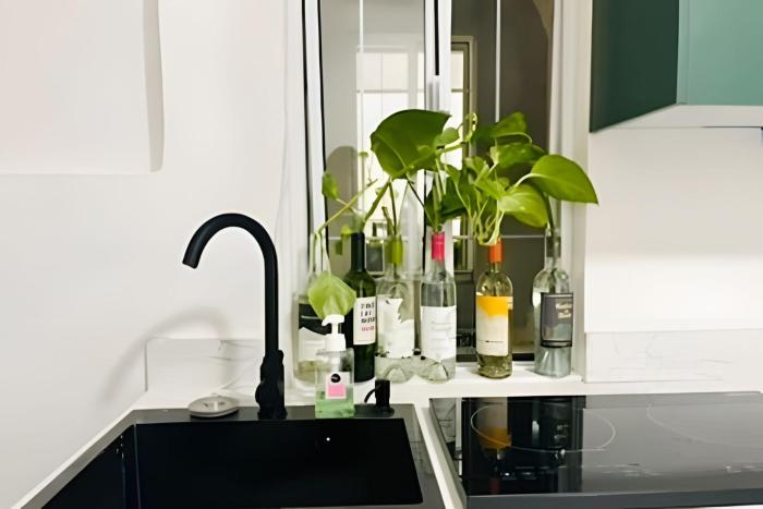 02-Hermoso apt en el centro de mty