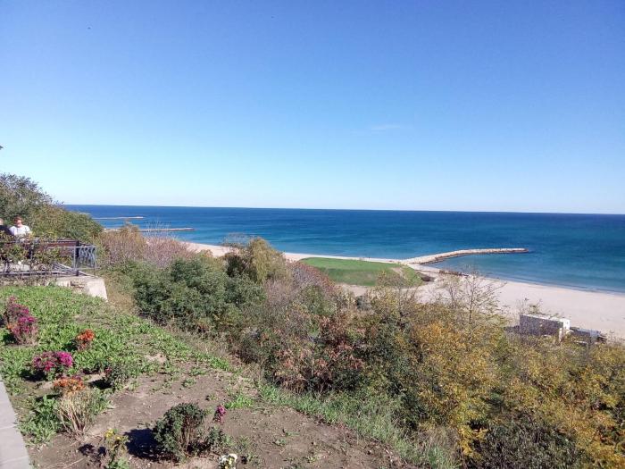 1BR Budget Apartment near Beach