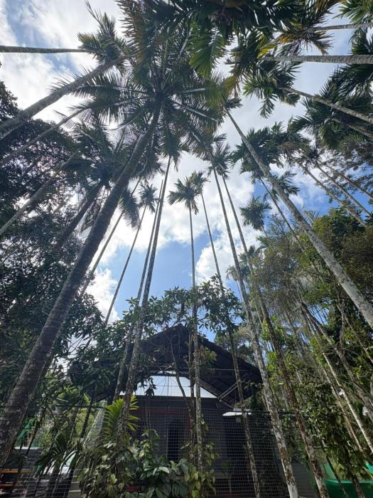 sahara dua jungle farmstay