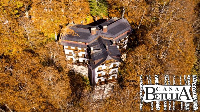 Le Case Nel Bosco Terminillo