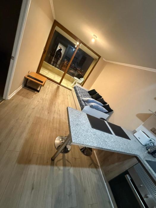 Departamento Avenida Ulriksen