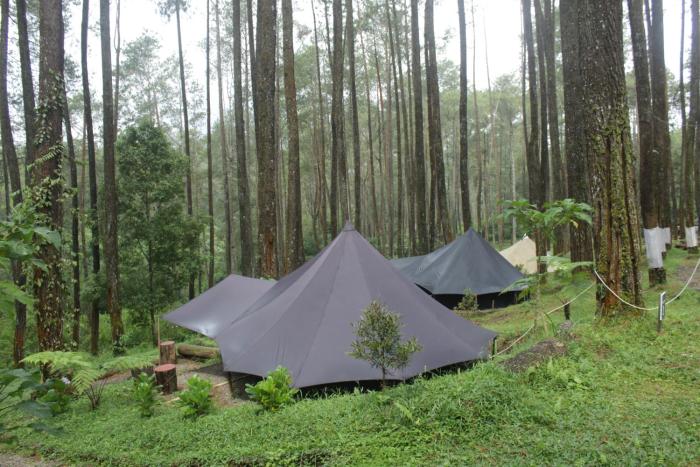 Lembah Pinus Cikole