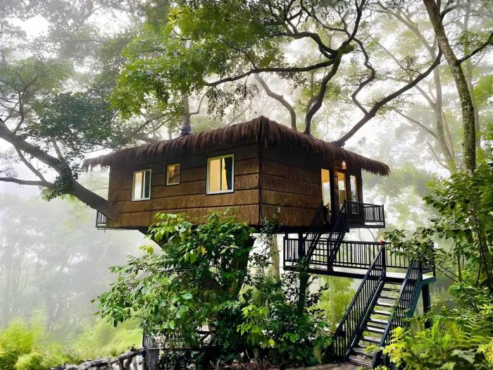 Tree Nature Resort