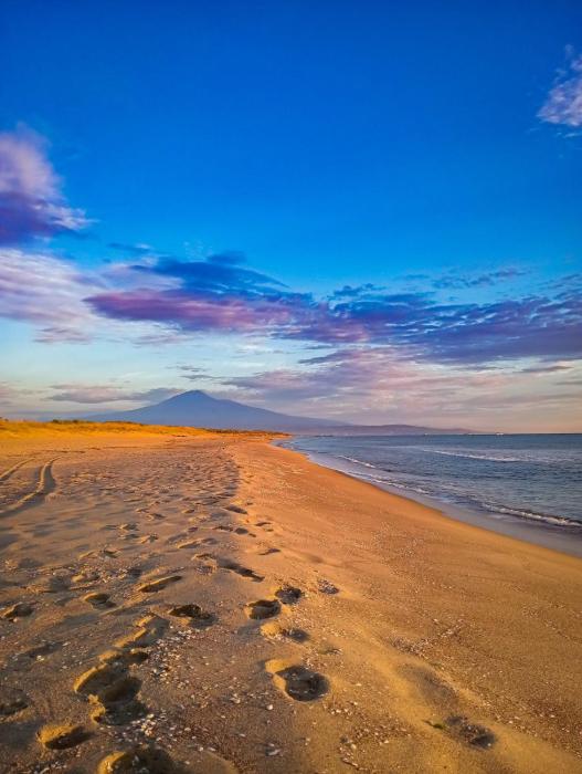 Mg Palace Hotel Costa del Sole