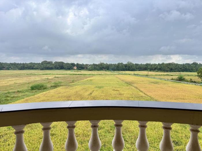 Villament - Majestic Palms, Benaulim