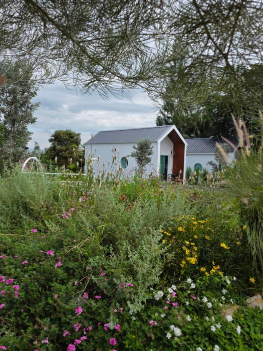 Wind in the Wild Khao Yai