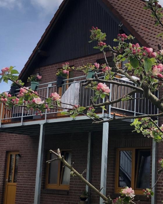 Ferienwohnung Kalle