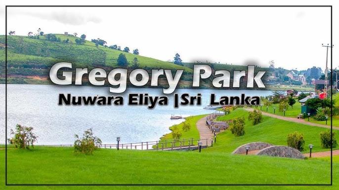 Nuwara eliya rashini mountain view cottage