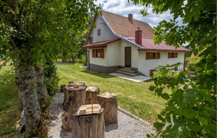 Gorgeous Home In Ravna Gora With Wifi