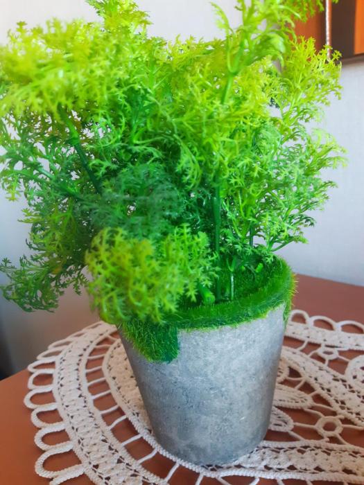 Cozy Studio East-Side