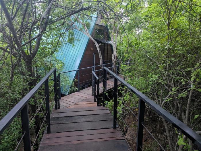 The Wild Yala